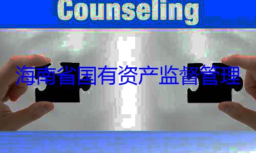 委副书记王有福接受审资产监督管海南省国有理委员会党查调查